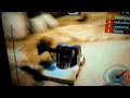 Colin Mcrae Dirt