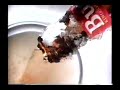 Budweiser Commercial (1992) (Television Commercial)
