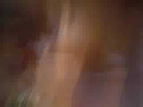 Trebach-DCDhip-hophip hop dcdzejtra curwa c.u.r.w.a. trebeac