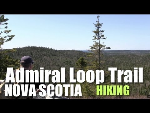 how to get the n off your licence in nova scotia