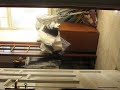 La Comitiva - Savio ke scivola cn le pantofole..