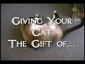 Pawsitive Visions - Giving Your Pet Eternal Life