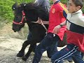 valera de caravaca