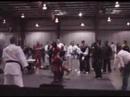 My First Karate Fight