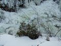 DSCF1952
