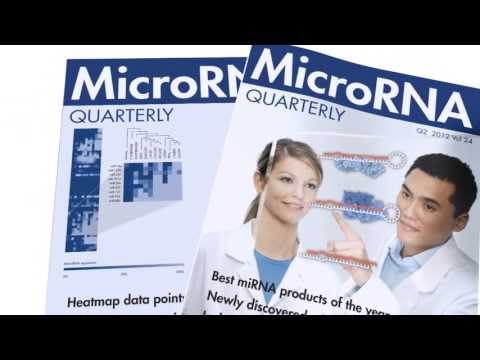 how to isolate microrna