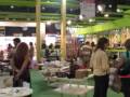 Exposiciones 2008