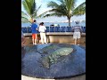 Pearl Harbor Pearl Harbor