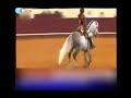 Gato Fedorento: Cavaleiro João Salgueiro