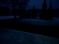 Schneefall in Biederitz (25.01.2011)