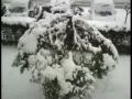 Abruzzo.mov