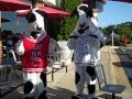 Chick-fil-a of Greer