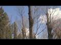 videos de Spring Melt at Fish Lake