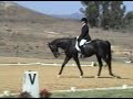 DCD Lucian El Cap Dressage_Test 1_080705