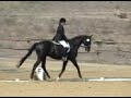 DCD Lucian El Cap Dressage_Test 1_080705