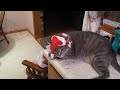 MVI_0289.MOV