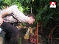 The Eden Project Biomes