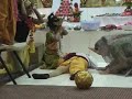 sanbruno,Bhishma,Shaka