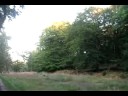 Tisvilde Hegn Forest