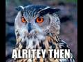 O Rly?!