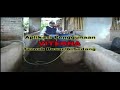 rumahagrobisnis dosis utk Ternak