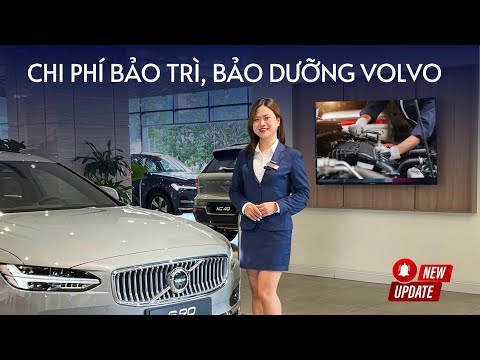 Chi Phí Bảo Dưỡng Volvo Chính Hãng | Khách Tỉnh Bảo Dưỡng Volvo Ở Đâu | Minh Mẫn Volvo