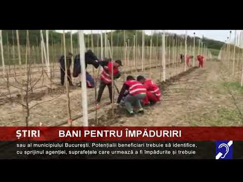 Undă verde către banii pentru împăduriri