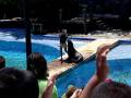 New York Aquarium
