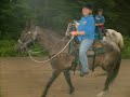 Saddletramp Stables Miramichi Fun Saddletramp Stables Miramichi Fun