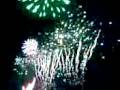 videos de 01012009