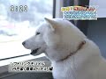 smap '09 CMブランディング評価１位