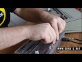 Cyclone Analogic Bass Bot TT-303 vs Roland TR-909