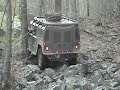 Hummer vs Tree Hummer vs Tree