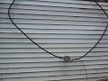 Ham, Shortwave radio, antenna 160 meter receive loop.