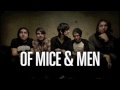 When You Cant Sleep At Night - Of mice and men