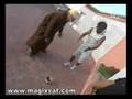 Hdi Rasek - Hamou mouhale
