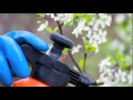 Click here to watch this video Victory Tree Service