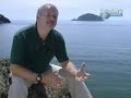 The Mega Tsunami or Killer Wave