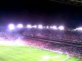 Irland v Poland 19.11.2008 Mlody kibic i jego euforia