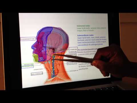 how to drain lymph nodes in head