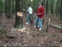 # 6 Retarded Carl Chops at a Tree