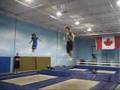 tramp tricks