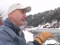 Rocky Mountain Whitefish Rocky Mountain Whitefish