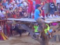 LOSAR TORO ROMPE VERJA