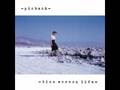 Pinback-Concrete-Sec