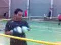 un rocky turc a pieton