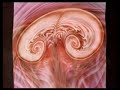 animation of a true elementary shape. music by zo� xenia, check her out at http://www.myspace.com/zoexenia