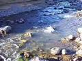 Fly Fishing for Rainbow Trout in Argentina