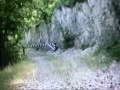 MTB Bussi, Forca di Penne, Capo d\
