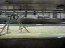 Cabot Creamery